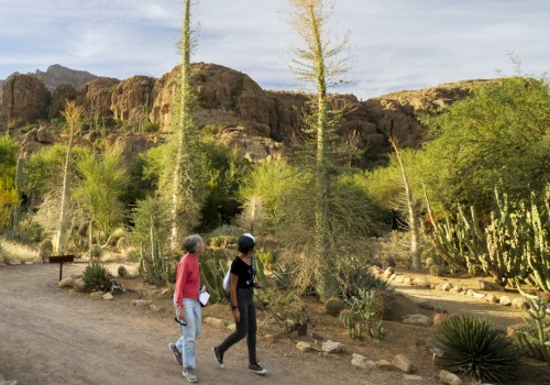 The Education System in Pinal County, Arizona: Ensuring Inclusive Education for Special Needs Students